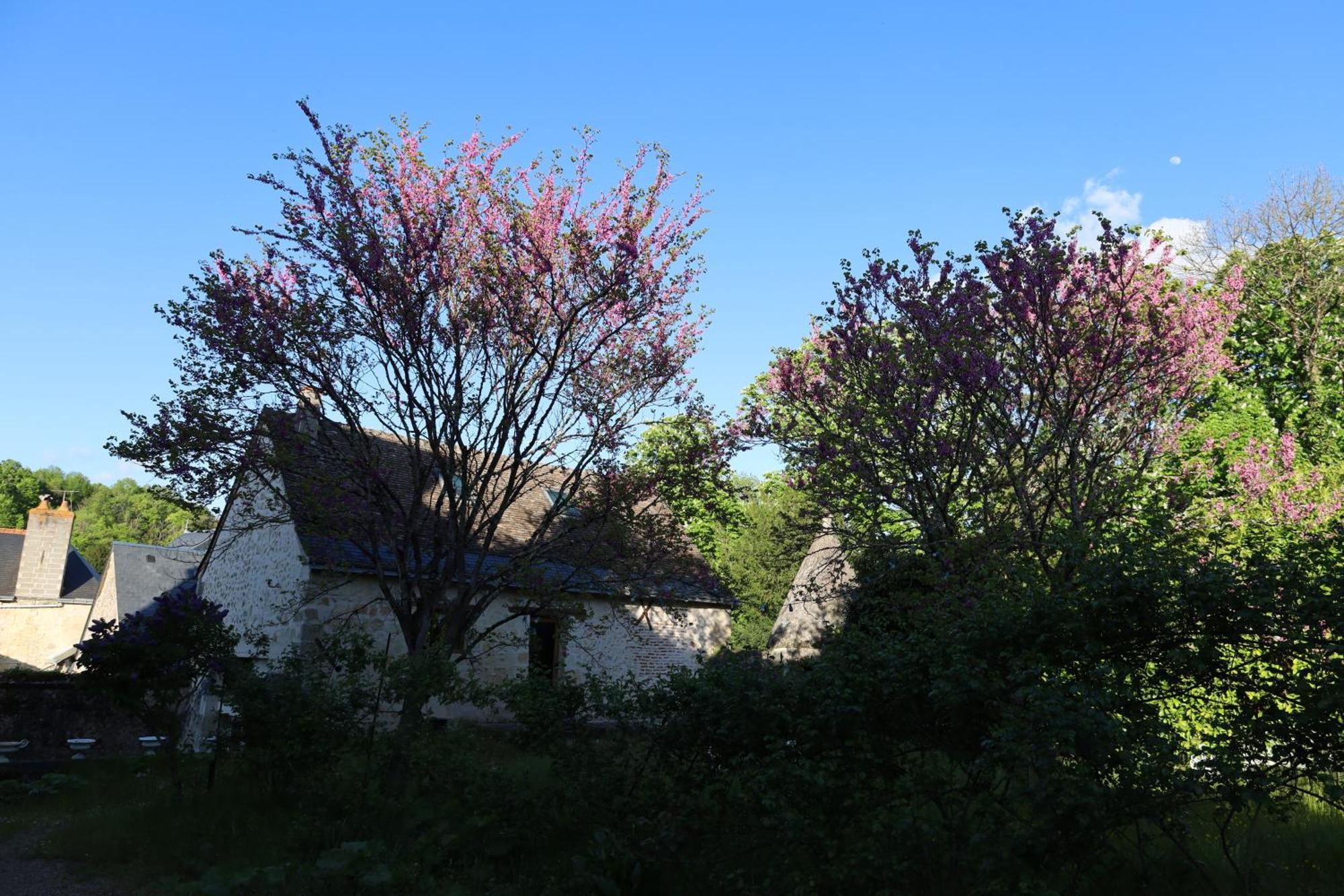 Castel Saint Laurent Langeais Exterior photo